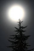 December Full Moon, The Long Nights Moon