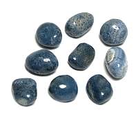 Blue Coral Tumbled Stone MEDIUM