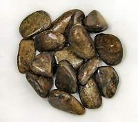 Bronzite Tumbled Stone SMALL