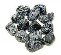 Snowflake Obsidian Tumbled Stone Large